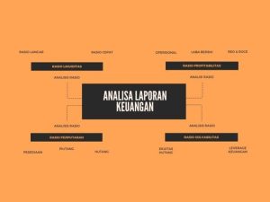 training analisa laporan keuangan