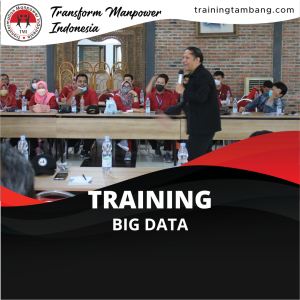 TRAINING BIG DATA