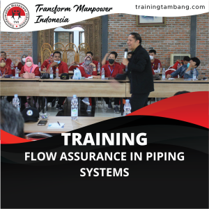 TRAINING FLOW ASSURANCE IN PIPING SYSTEMS