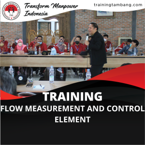 TRAINING FLOW MEASUREMENT AND CONTROL ELEMENT