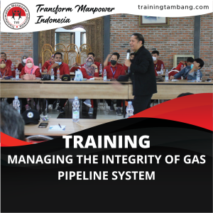 TRAINING MANAGING THE INTEGRITY OF GAS PIPELINE SYSTEM