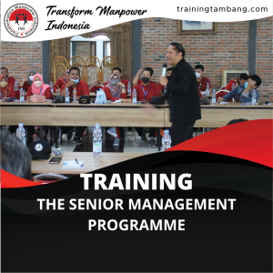 TRAINING THE SENIOR MANAGEMENT PROGRAMME