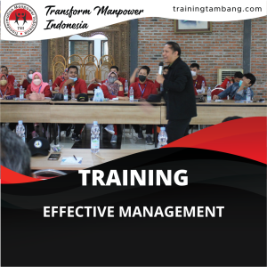 TRAINING EFFECTIVE MANAGEMENT