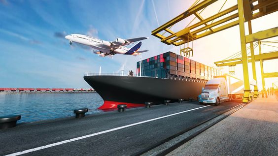 training shipping cargo custom and transportation management
