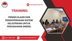 TRAINING PENGELOLAAN DAN PENGOPERASIAN SISTEM KELISTRIKAN UNTUK PERUSAHAAN ENERGI
