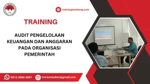 TRAINING AUDIT PENGELOLAAN KEUANGAN DAN ANGGARAN PADA ORGANISASI PEMERINTAH